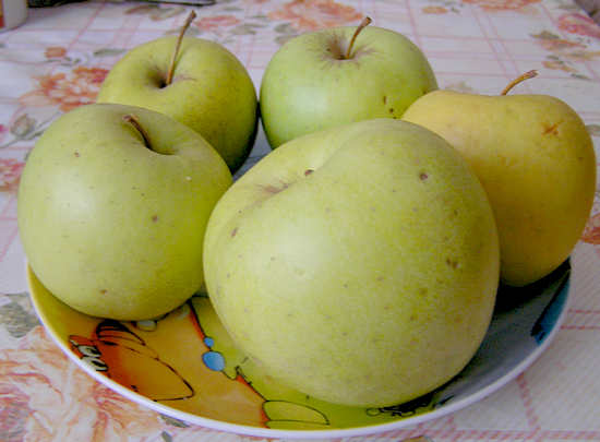 Яблочная Диета Плюсы И Минусы