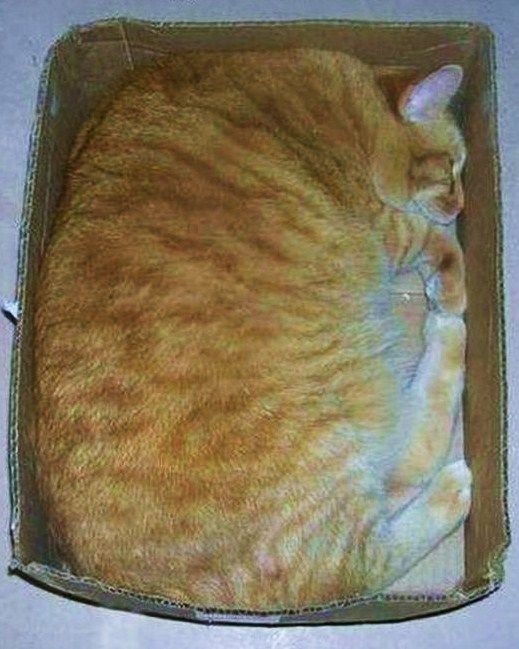 квадрат ( толстый кот в коробке) элемент психологического теста "геометрические фигуры"