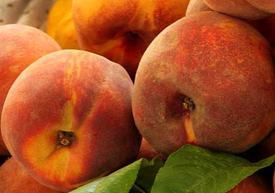 польза и вред персиков