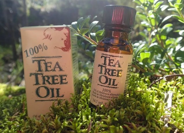применение масла чайного дерева