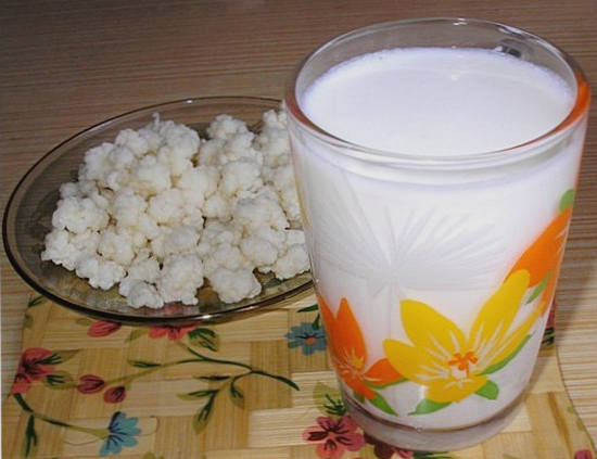 тибетский молочный гриб