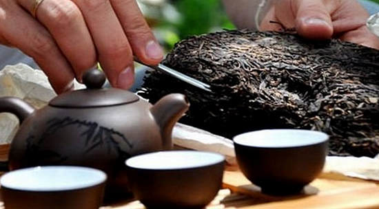 чай пуэр полезные свойства и противопоказания