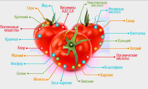 состав помидора