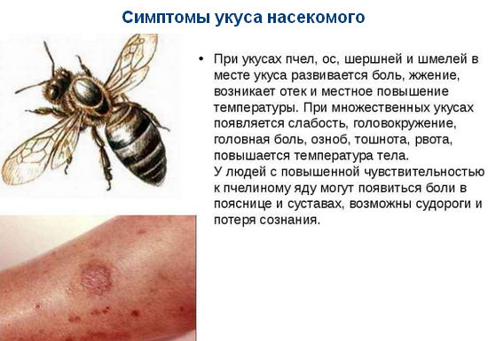 симптомы укуса насекомого