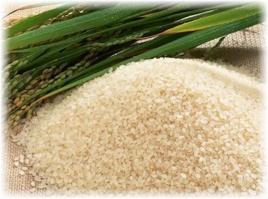 Виды и сорта риса, классификация риса