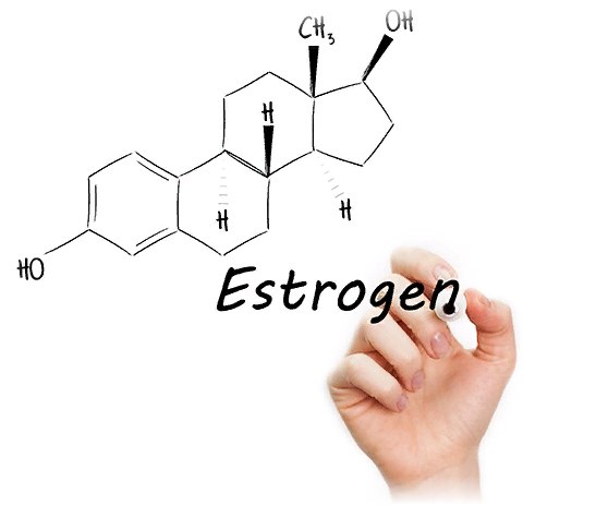 гормон эстроген у женщин