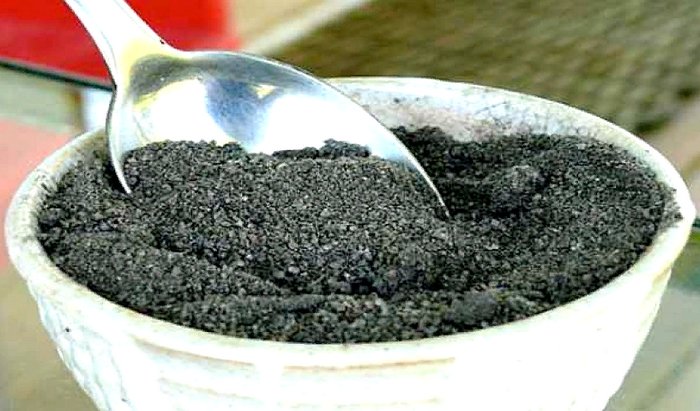 черная четверговая соль - польза и вред