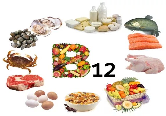 продукты богатые витамином В12