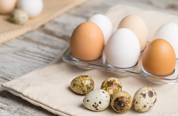 отличие перепелиных яиц от куриных