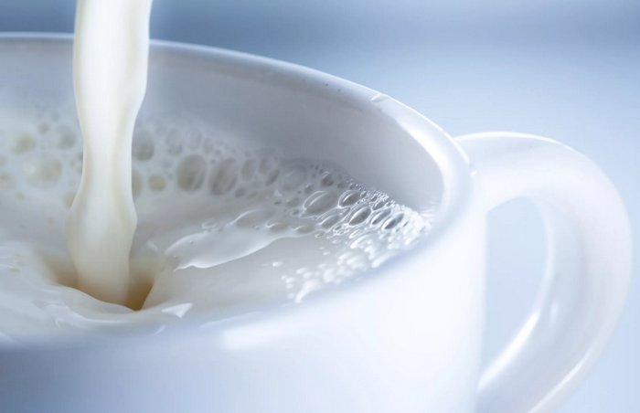молоко - польза и вред для организма