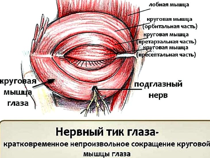 что такое нервный тик глаза
